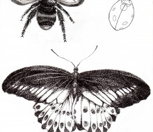 MÁJ-Výstava-domácich-prác-8